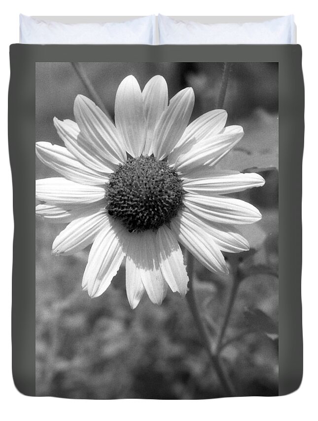 Sunflower Duvet Cover featuring the photograph Infrared - Sunflower by Pamela Critchlow