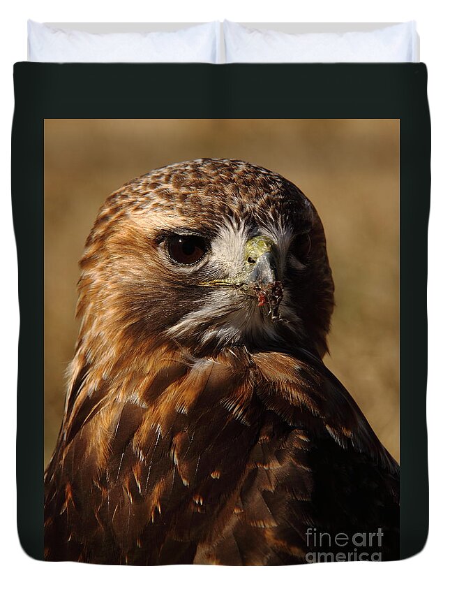 Red Tailed Hawk Duvet Cover featuring the photograph Red Tailed Hawk Portrait by Robert Frederick