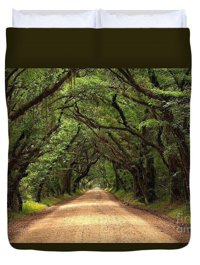 Avenue Of The Oaks Duvet Cover featuring the photograph Into The Plantation by Adam Jewell