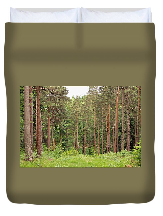 Woods Duvet Cover featuring the photograph Into the Woods by Tony Murtagh