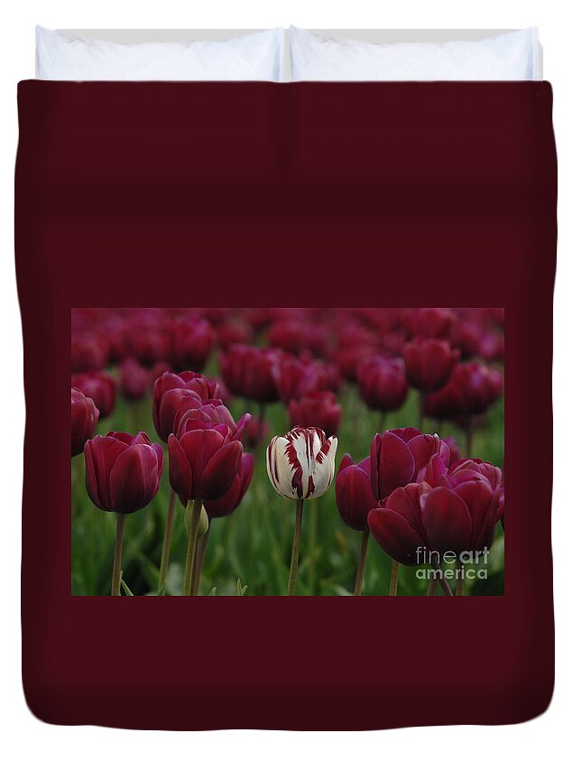 Tulips Duvet Cover featuring the photograph It Is Beautiful Being Different by Bob Christopher