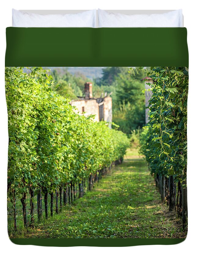 Environmental Conservation Duvet Cover featuring the photograph Italian Vineyard In Autumn by Ilbusca
