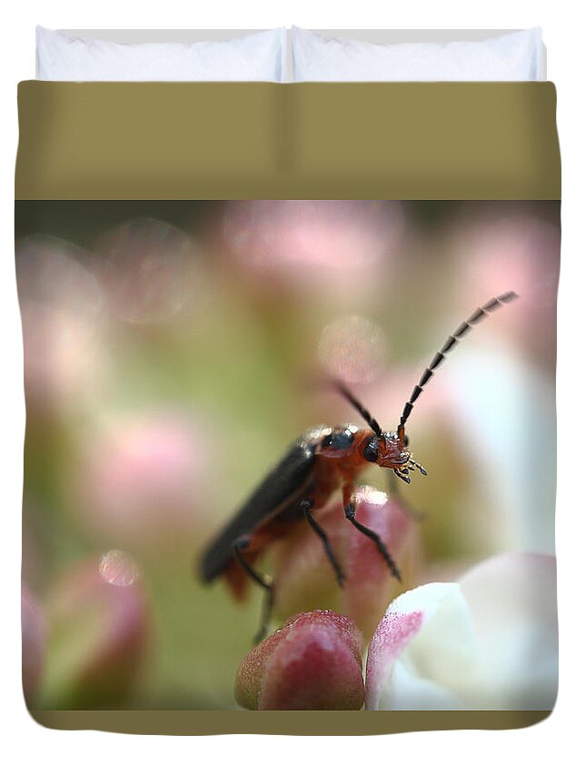 Insect Duvet Cover featuring the photograph It's A Bugs World by Michael Eingle