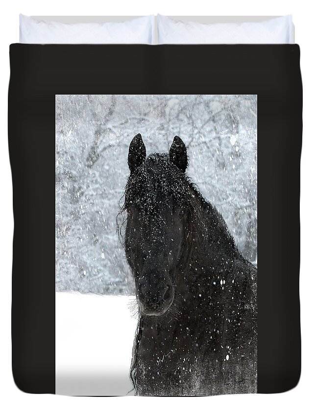 Friesian Horses Duvet Cover featuring the photograph It's Friesian out here by Fran J Scott