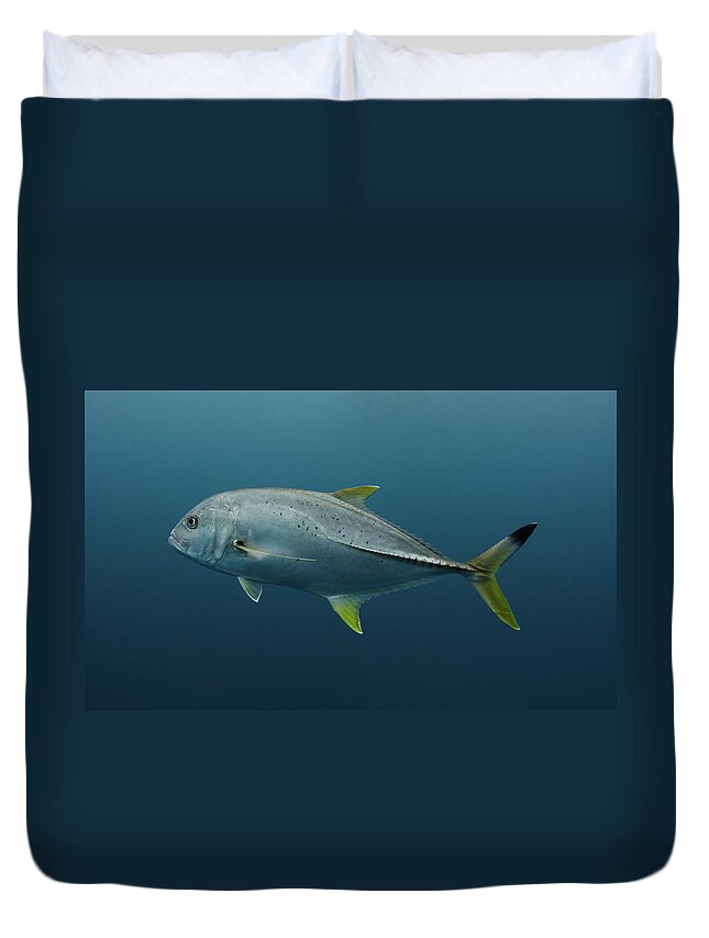 Underwater Duvet Cover featuring the photograph Jack, South Africa by Joost Van Uffelen