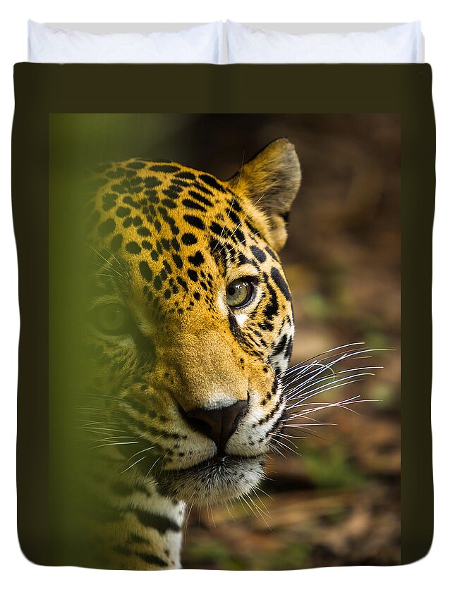 Jaguar Duvet Cover featuring the photograph Jaguar by Raul Rodriguez