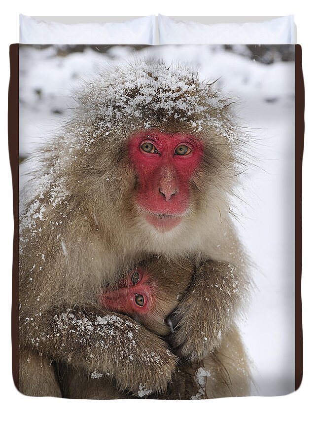 Thomas Marent Duvet Cover featuring the photograph Japanese Macaque Warming Baby by Thomas Marent