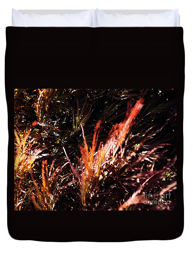 Tree Duvet Cover featuring the photograph Japanese Maple by Robyn King