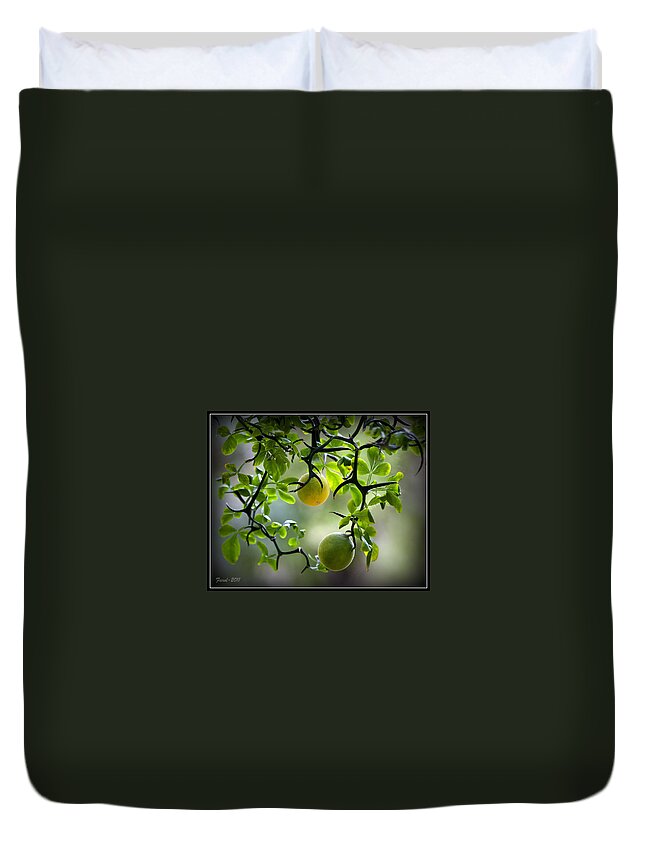 Flying Duvet Cover featuring the photograph Japanese Orange Tree by Farol Tomson