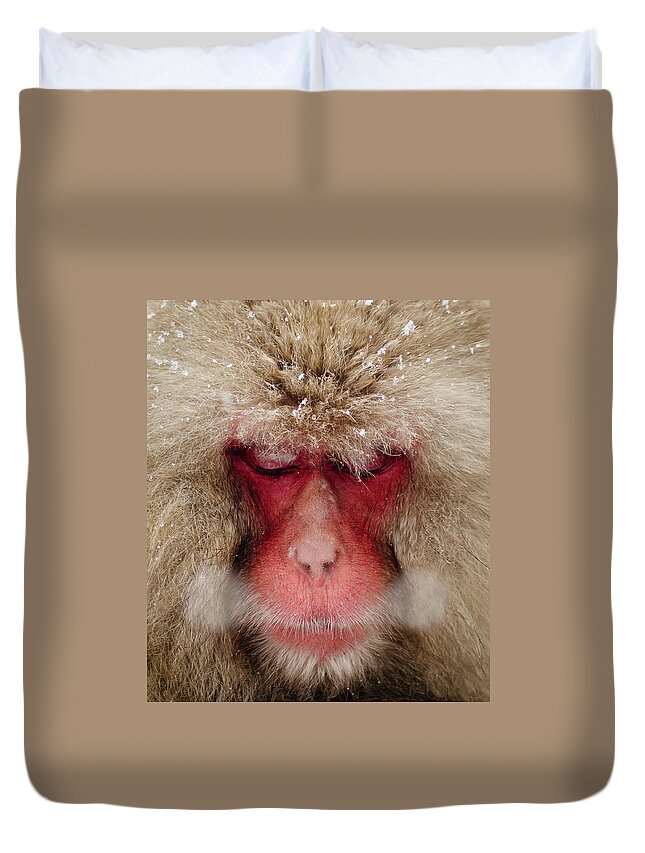 Snow Duvet Cover featuring the photograph Japanese Snow Monkey Breathing In Cold by Photography By Martin Irwin