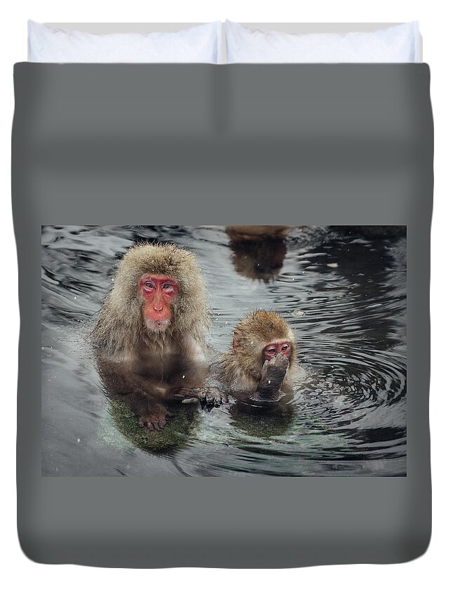 Animal Themes Duvet Cover featuring the photograph Japanese Snow Monkeys Enjoying The Hot by Photography By Martin Irwin