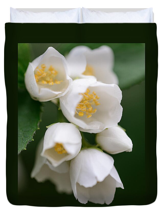 #migophotos Duvet Cover featuring the photograph Jasmin flowers by Michael Goyberg