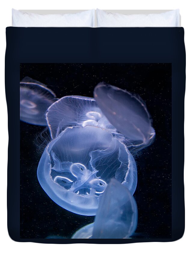 Fish Duvet Cover featuring the photograph Jellyfish by Tim Stanley