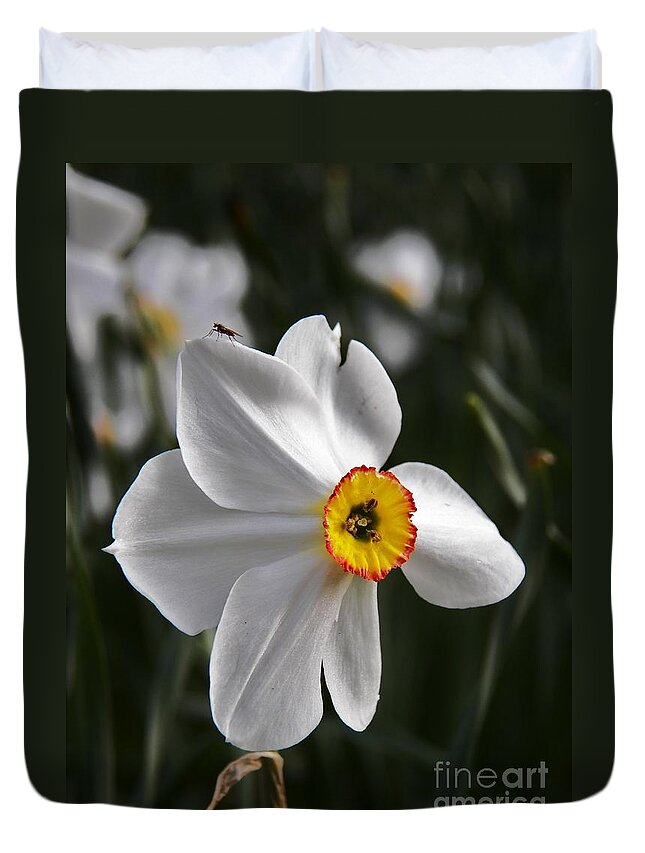 Jonquil Duvet Cover featuring the photograph Jonquil by Judy Via-Wolff