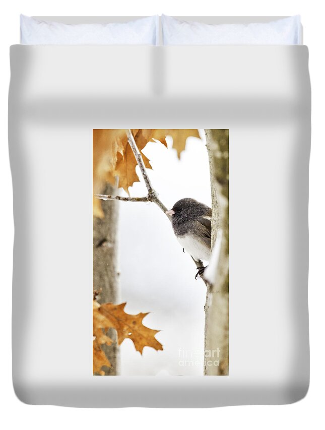 Junco Duvet Cover featuring the photograph Junco and Oak by Jan Killian