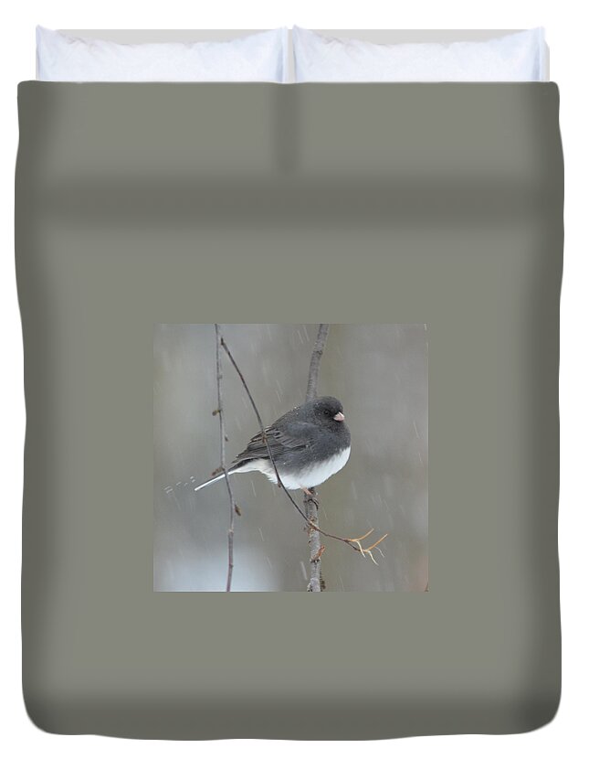 Junco Duvet Cover featuring the photograph Junco in the Snow by Richard Bryce and Family