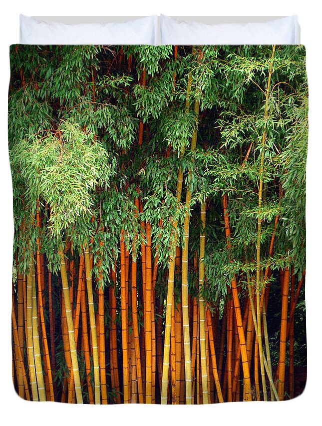 Trees Duvet Cover featuring the photograph Just Bamboo by Sue Melvin