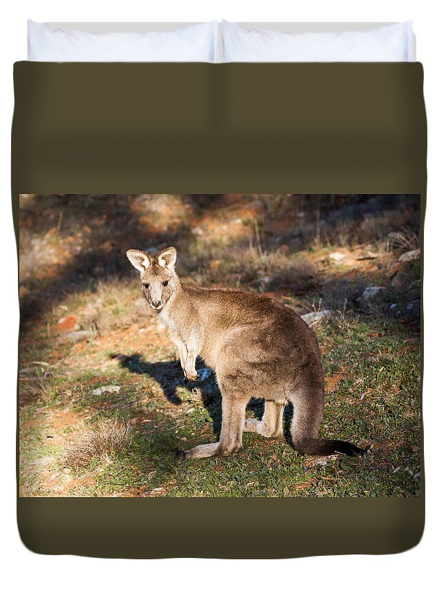 Australia Duvet Cover featuring the photograph Kangaroo - Canberra - Australia by Steven Ralser