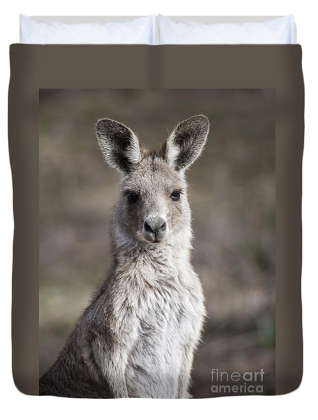 Australia Duvet Cover featuring the photograph Kangaroo by Steven Ralser