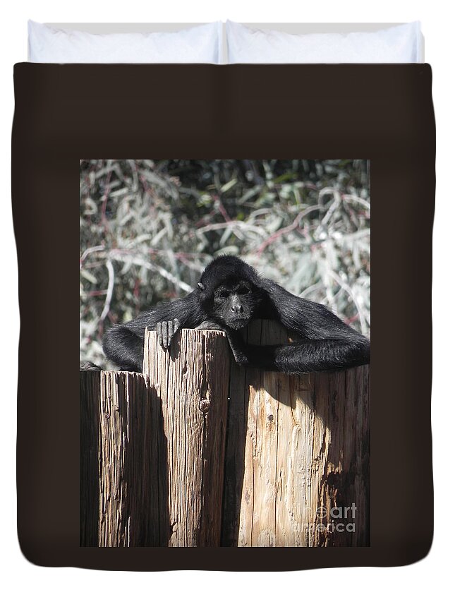 Photography Duvet Cover featuring the photograph Keep Out by Chrisann Ellis