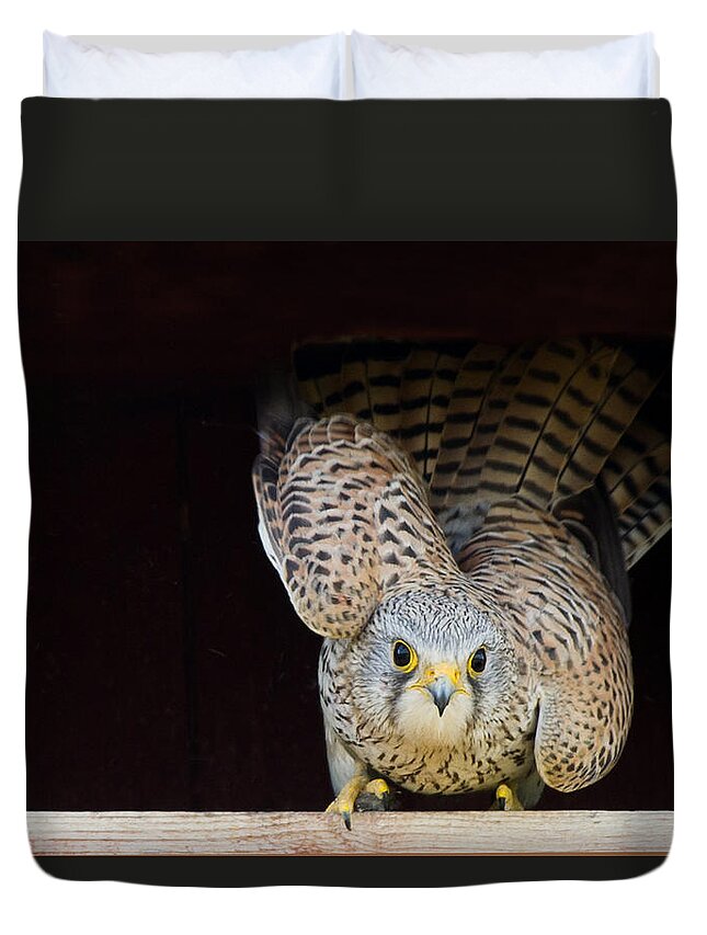 Kestrel Duvet Cover featuring the photograph Kestrel ready to go by Torbjorn Swenelius