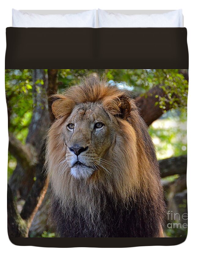 Lion Duvet Cover featuring the photograph King Of The Jungle by Carol Bradley