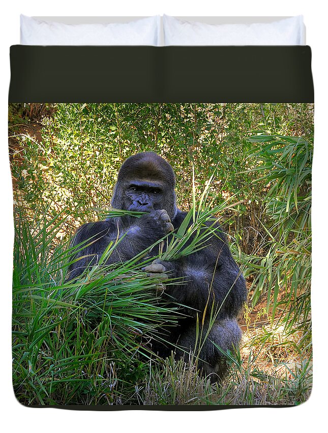 Gorilla Duvet Cover featuring the photograph King Of The Mountain by Kathy Baccari