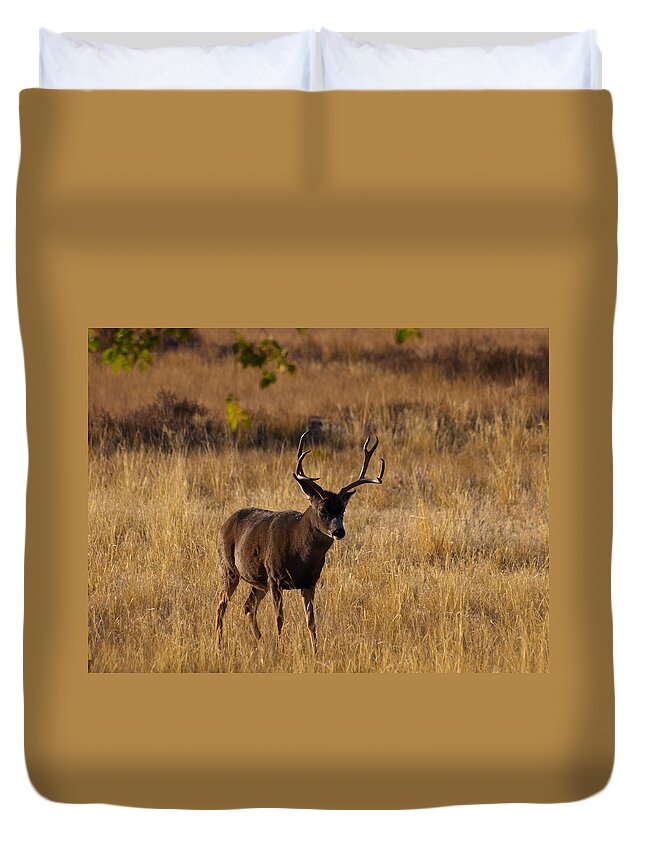 Mule Deer Duvet Cover featuring the photograph King of the Yard by Joshua House