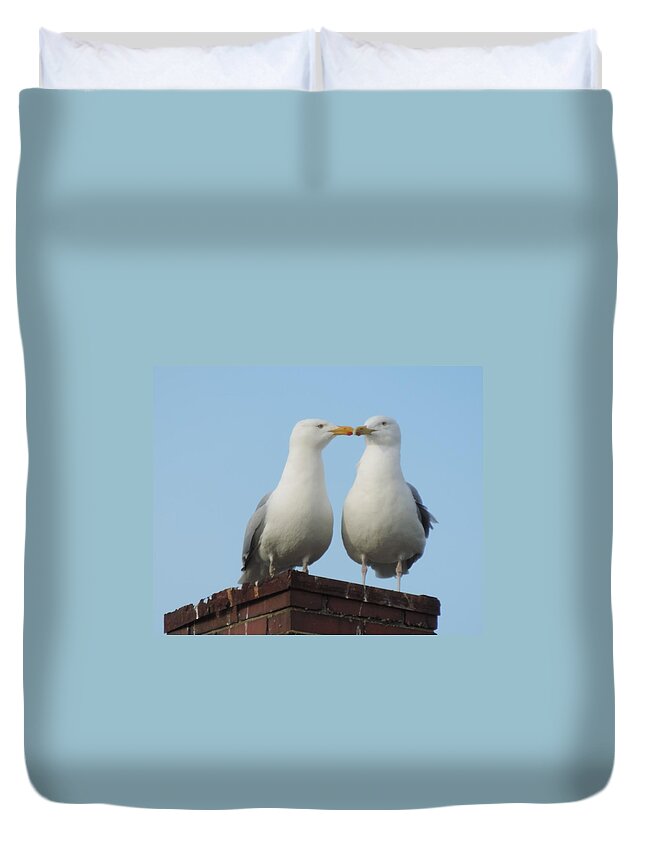 Kissing Seagulls Duvet Cover featuring the photograph Kiss Me You Fool by Bill Tomsa