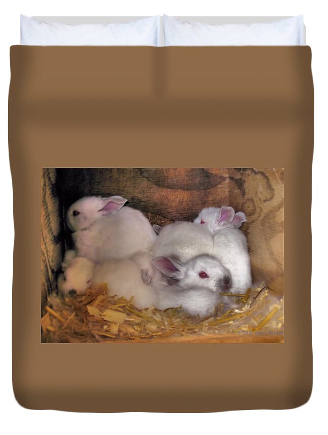 Rabbits Duvet Cover featuring the photograph Kits In A Box by Joyce Dickens