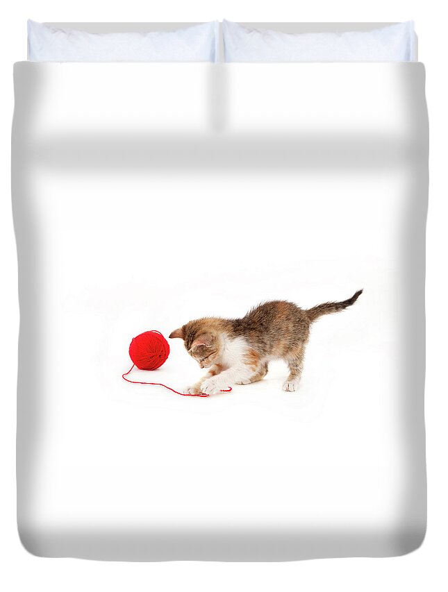 Bulgaria Duvet Cover featuring the photograph Kitten Playing With A Ball Of Red Wool by By Kerstin Claudia