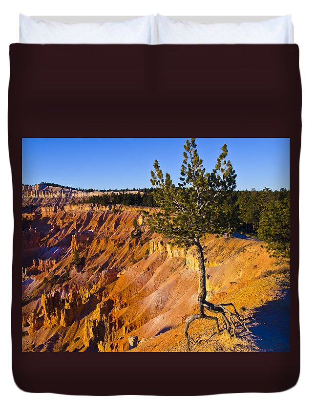 Bryce Canyon National Park Duvet Cover featuring the photograph Know Your Roots - Bryce Canyon by Jon Berghoff