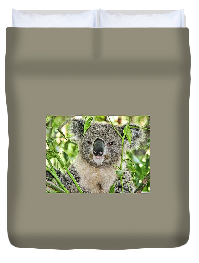 Koala Bear Duvet Cover featuring the photograph Koala Bear by Helaine Cummins