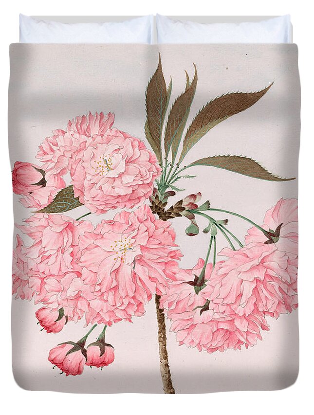 Japan Duvet Cover featuring the painting Kwan-zan - Barrier Mountain - Vintage Japanese Art by Just Eclectic