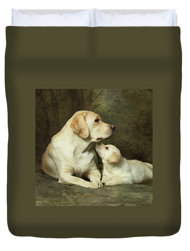 Pets Duvet Cover featuring the photograph Labrador Dog Breed With Her Puppy by Sergey Ryumin