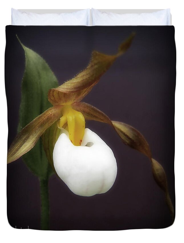 Flower Duvet Cover featuring the photograph Lady Slipper by Jamie Johnson