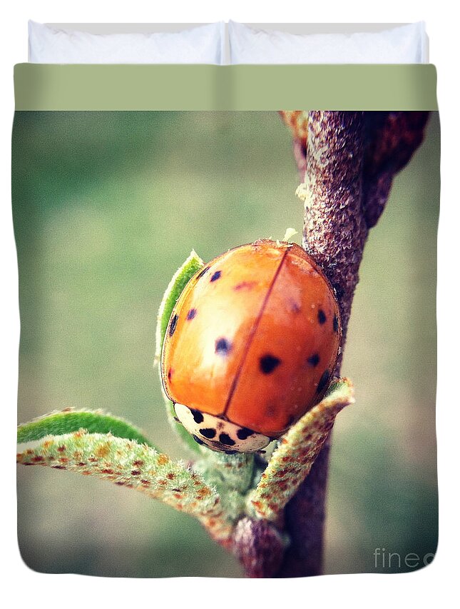 Ladybug Duvet Cover featuring the photograph Ladybug by Kerri Farley