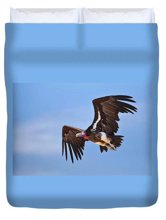 Wings Duvet Cover featuring the photograph Lappetfaced Vulture by Johan Swanepoel