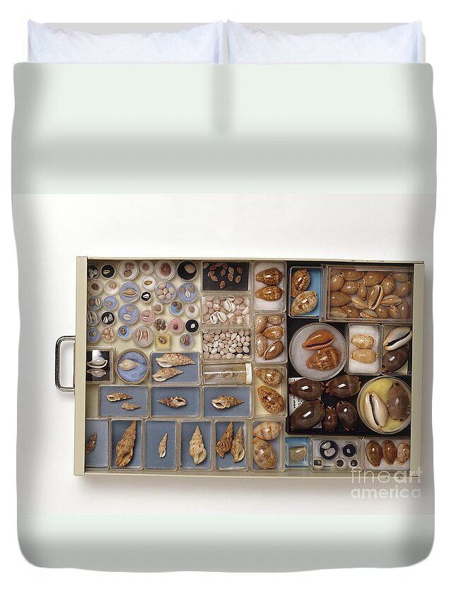 Abundance Duvet Cover featuring the photograph Large Collection Of Shells In Drawer by Matthew Ward / Dorling Kindersley