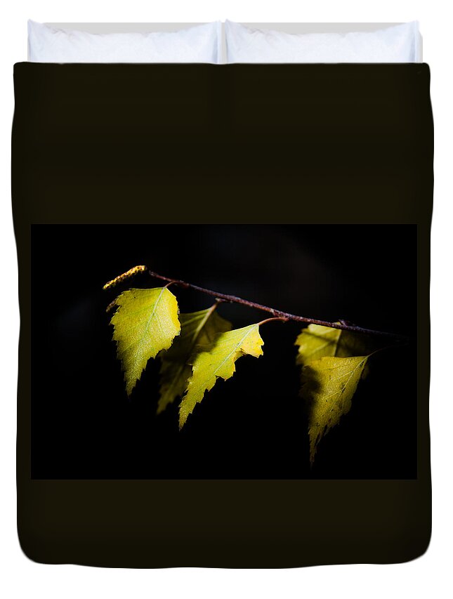 Autumn Duvet Cover featuring the photograph Last autumn gifts by Michael Goyberg