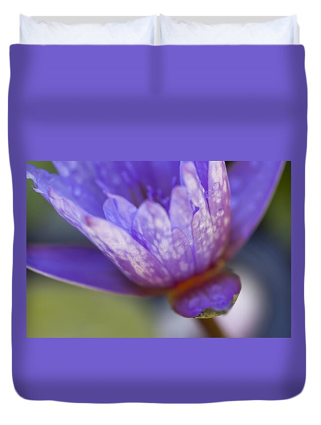 Islamorada Duvet Cover featuring the photograph Late Afternoon Dream by Priya Ghose