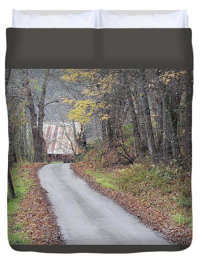 Autumn Duvet Cover featuring the photograph Late Autumn Back Road by Alan L Graham