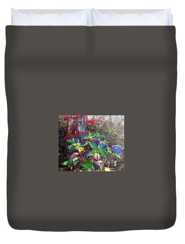 Hydrangeas Duvet Cover featuring the photograph Late Hydrangeas by Frank Winters