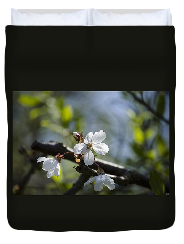 Green Duvet Cover featuring the photograph Late Spring Blossom by Spikey Mouse Photography