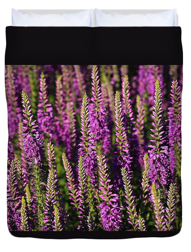 Lavender Hues Duvet Cover featuring the photograph Lavender Hues by Rachel Cohen