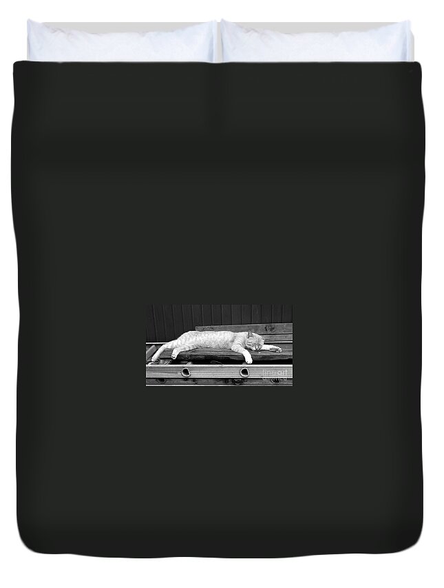 Lazy Duvet Cover featuring the photograph Lazy cat by Andrea Anderegg