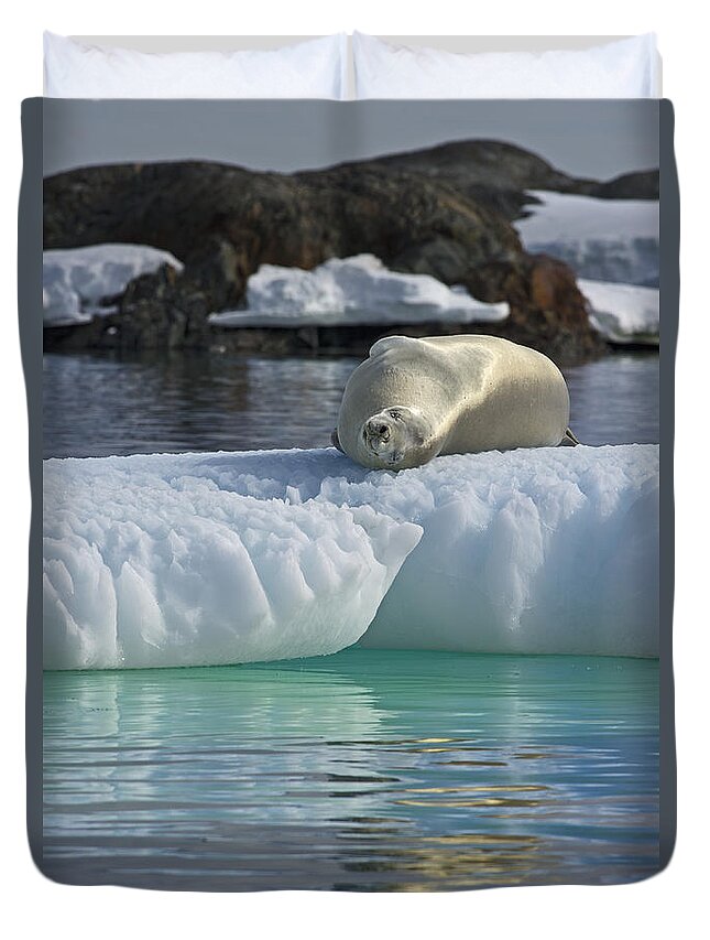Festblues Duvet Cover featuring the photograph Lazy Days... by Nina Stavlund