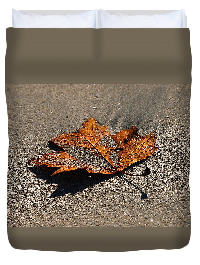  Leaves Duvet Cover featuring the photograph Leaf Composed by Joe Schofield