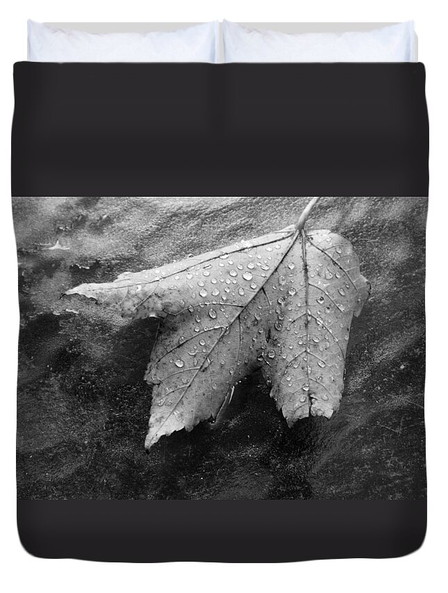 Nature Duvet Cover featuring the photograph Leaf on Glass by John Schneider
