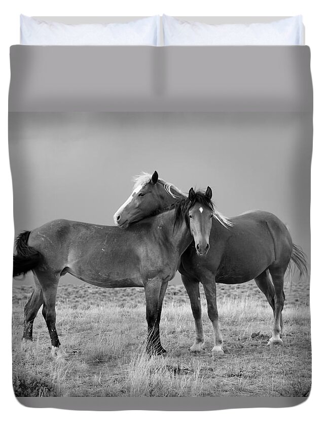 Wild Mustangs Duvet Cover featuring the photograph Lean on Me B and W Wild Mustang by Rich Franco